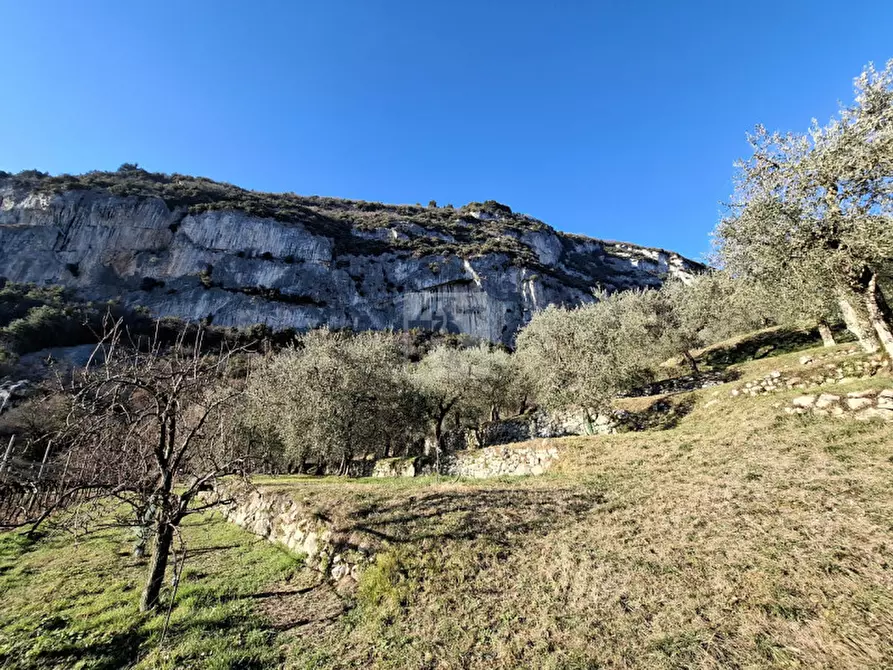 Immagine 3 di Terreno in vendita  a Arco