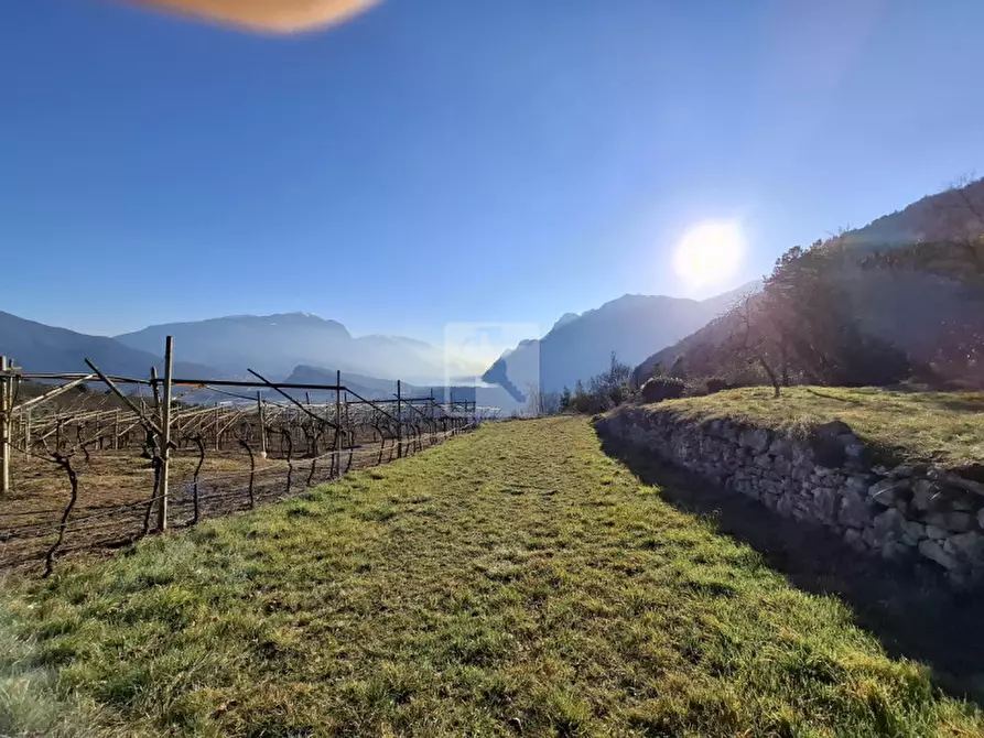 Immagine 4 di Terreno in vendita  a Arco