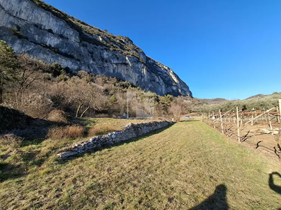 Immagine 5 di Terreno in vendita  a Arco