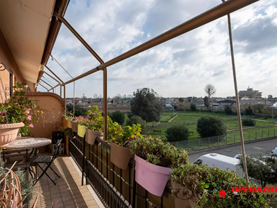 Immagine 5 di Appartamento in vendita  in via amico bignani a Fiumicino