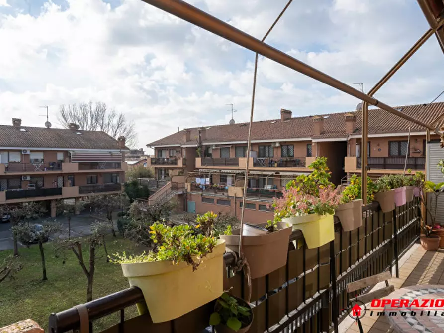 Immagine 13 di Appartamento in vendita  in via amico bignani a Fiumicino