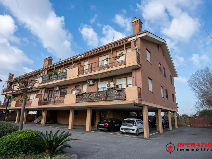 Immagine 26 di Appartamento in vendita  in via amico bignani a Fiumicino