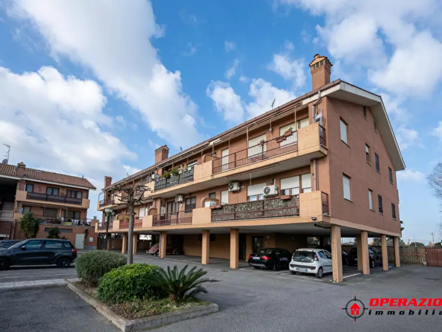 Immagine 29 di Appartamento in vendita  in via amico bignani a Fiumicino