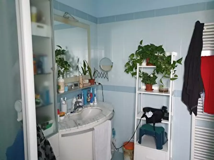 Immagine 2 di Appartamento in vendita  in Via del Lambrusco a Bomporto