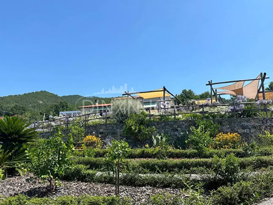 Immagine 8 di Villa in vendita  a Deiva Marina