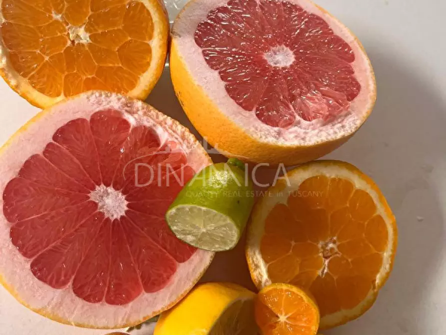 Immagine 58 di Villa in vendita  a Deiva Marina