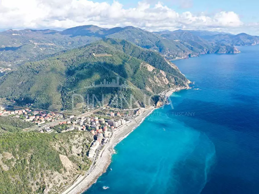 Immagine 59 di Villa in vendita  a Deiva Marina