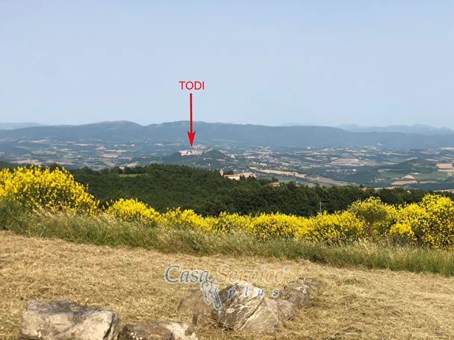 Immagine 52 di Villa in vendita  in SP 380 a Todi
