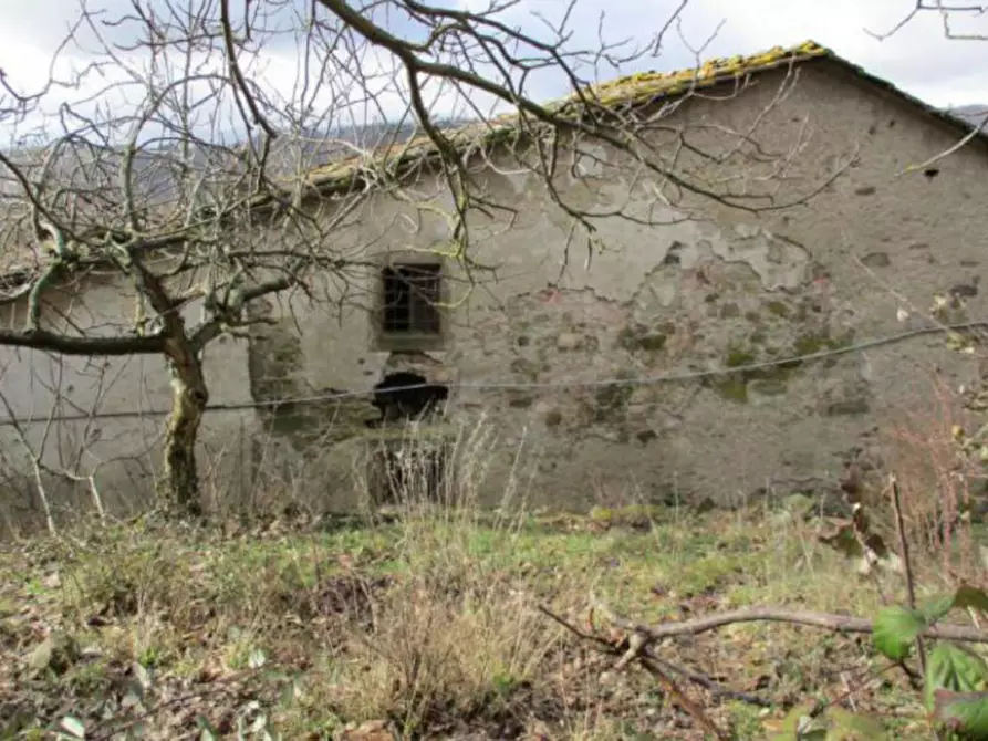 Immagine 3 di Capannone industriale in vendita  in SP Irgoli-Capo Comino, N. 4 a Irgoli