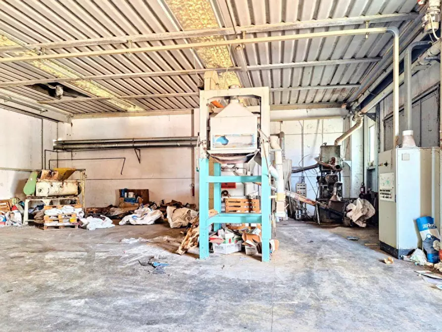 Immagine 8 di Capannone industriale in vendita  in SP Irgoli-Capo Comino, N. 4 a Irgoli