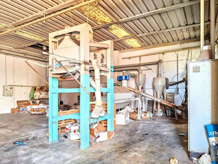 Immagine 9 di Capannone industriale in vendita  in SP Irgoli-Capo Comino, N. 4 a Irgoli