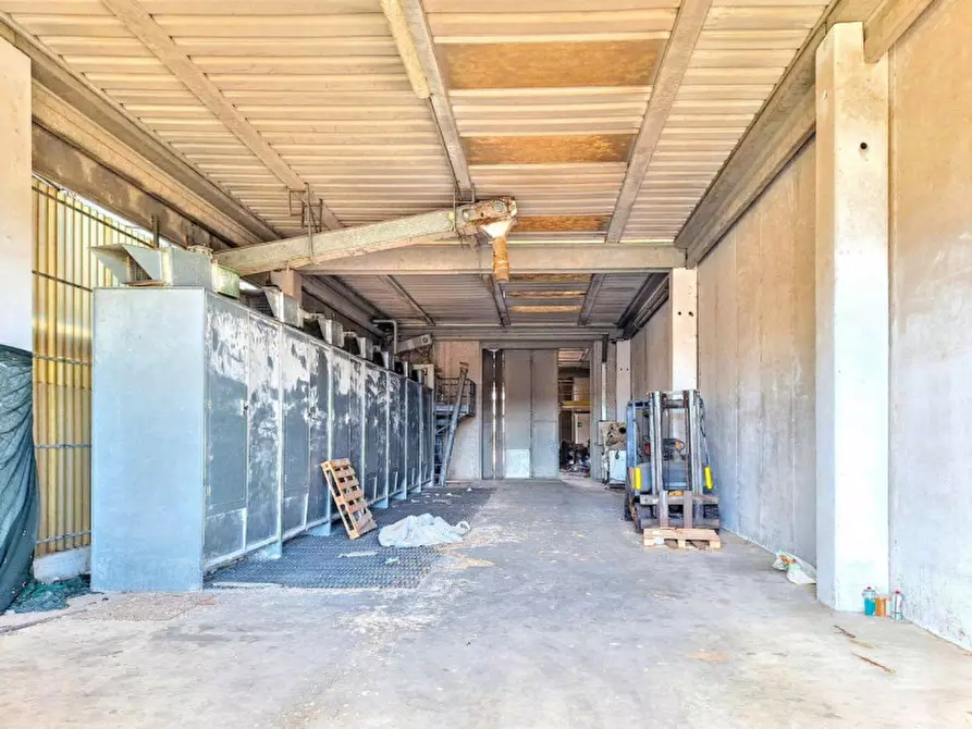 Immagine 10 di Capannone industriale in vendita  in SP Irgoli-Capo Comino, N. 4 a Irgoli