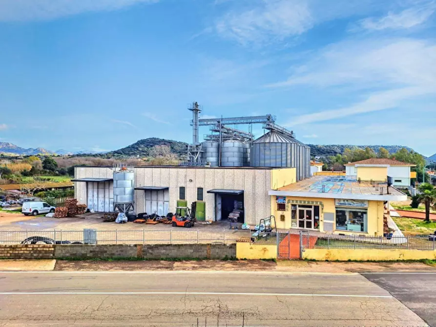 Immagine 11 di Capannone industriale in vendita  in SP Irgoli-Capo Comino, N. 4 a Irgoli