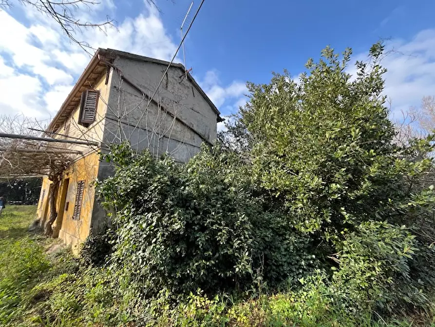 Immagine 5 di Casa indipendente in vendita  a Senigallia