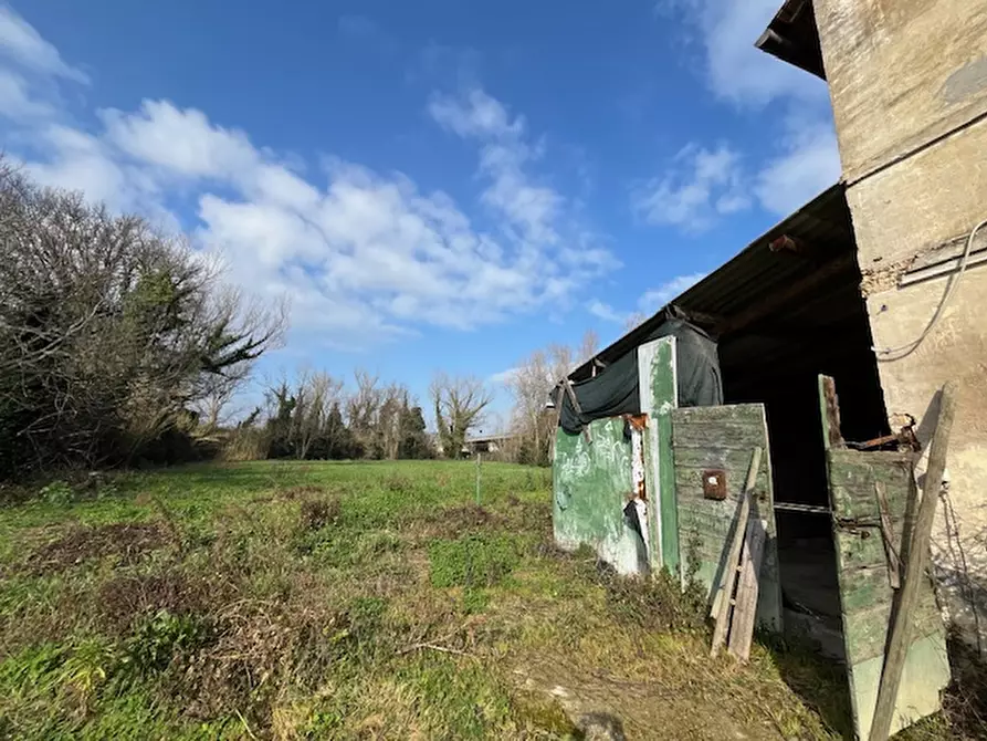 Immagine 7 di Casa indipendente in vendita  a Senigallia