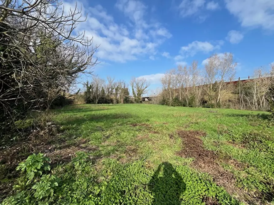 Immagine 22 di Casa indipendente in vendita  a Senigallia