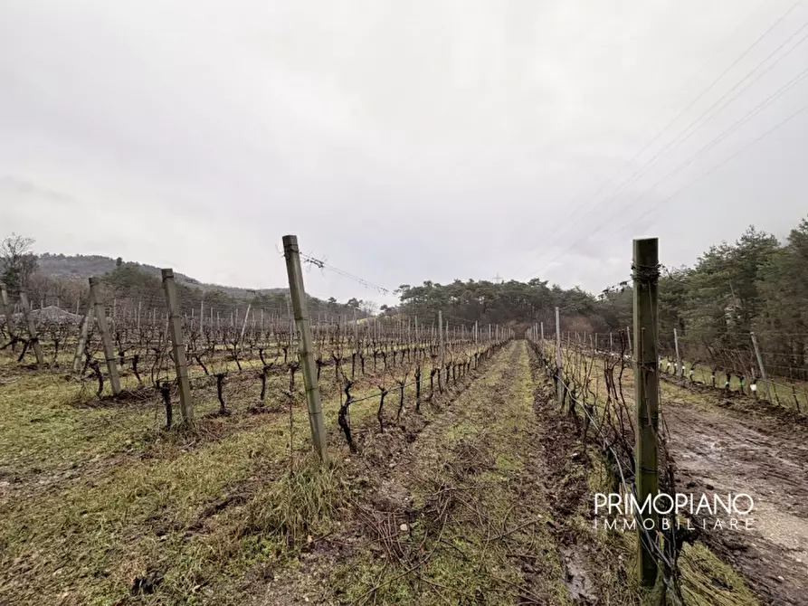 Immagine 2 di Terreno in vendita  in Strada Statale Gardesana Occidentale a Vallelaghi