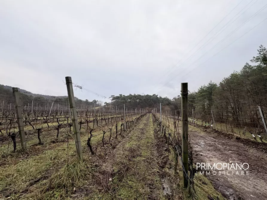 Immagine 4 di Terreno in vendita  in Strada Statale Gardesana Occidentale a Vallelaghi