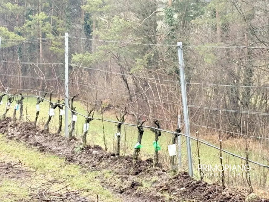 Immagine 7 di Terreno in vendita  in Strada Statale Gardesana Occidentale a Vallelaghi