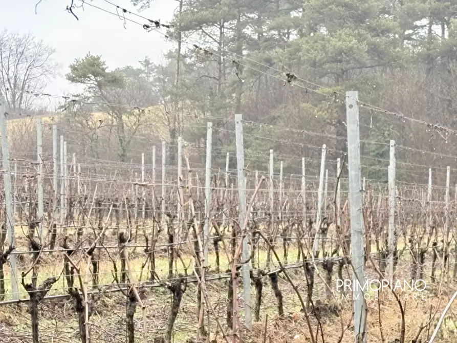 Immagine 1 di Terreno in vendita  in Strada Statale Gardesana Occidentale a Vallelaghi