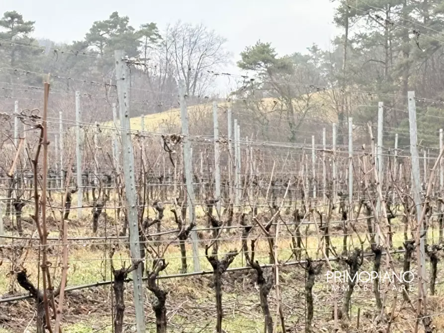 Immagine 3 di Terreno in vendita  in Strada Statale Gardesana Occidentale a Vallelaghi