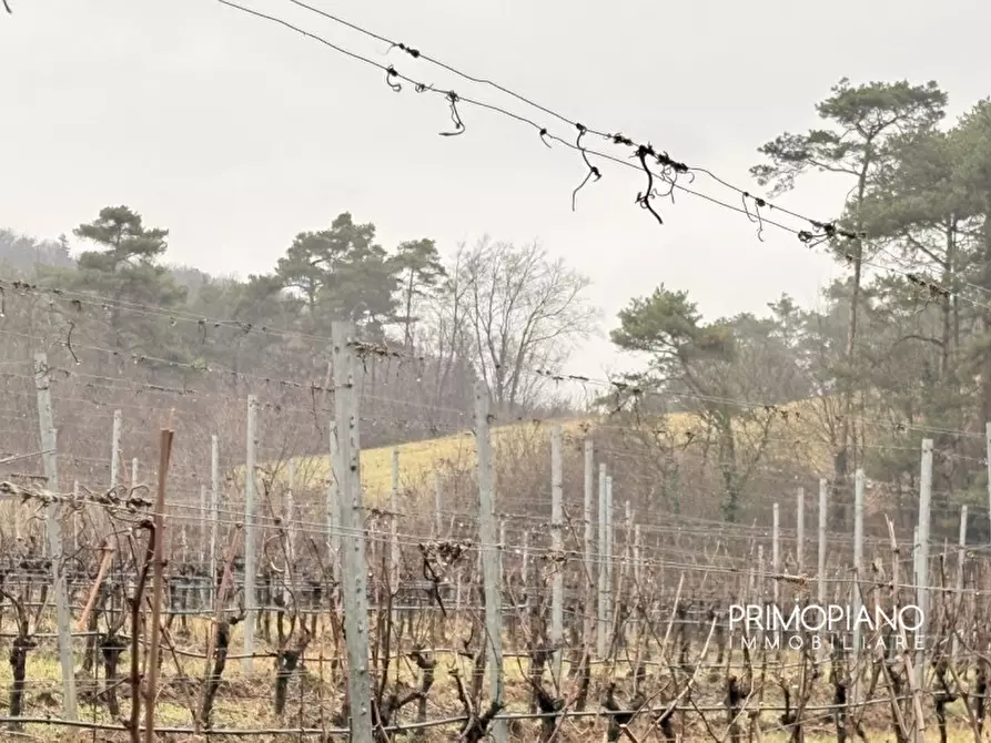Immagine 5 di Terreno in vendita  in Strada Statale Gardesana Occidentale a Vallelaghi