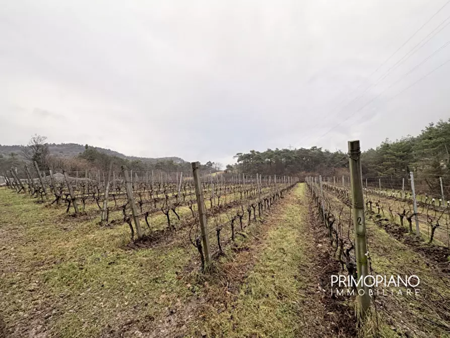 Immagine 7 di Terreno in vendita  in Strada Statale Gardesana Occidentale a Vallelaghi
