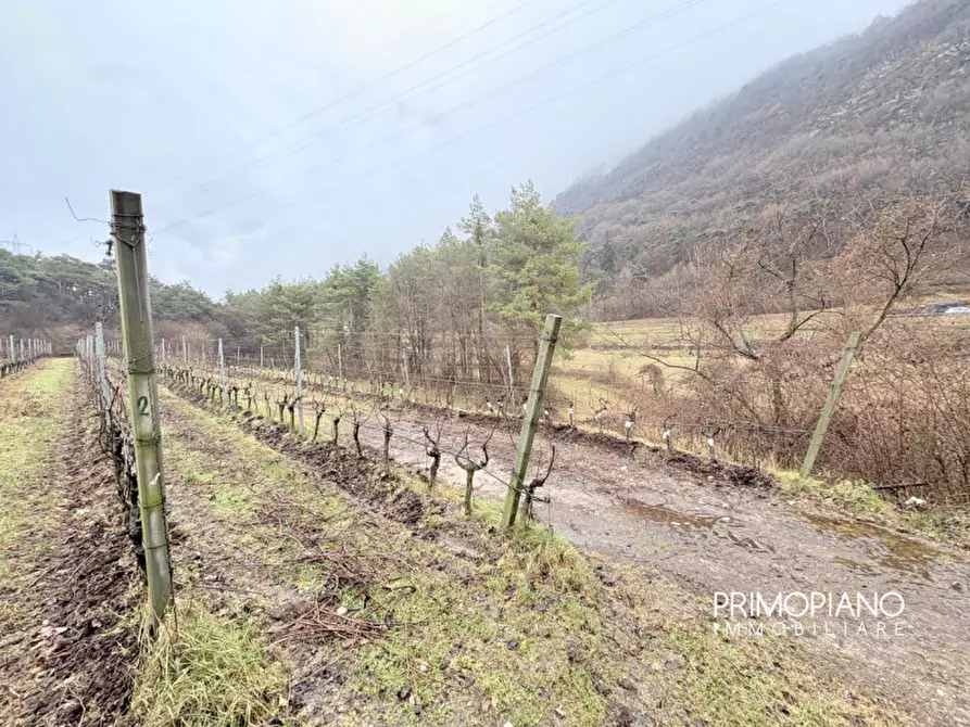 Immagine 8 di Terreno in vendita  in Strada Statale Gardesana Occidentale a Vallelaghi