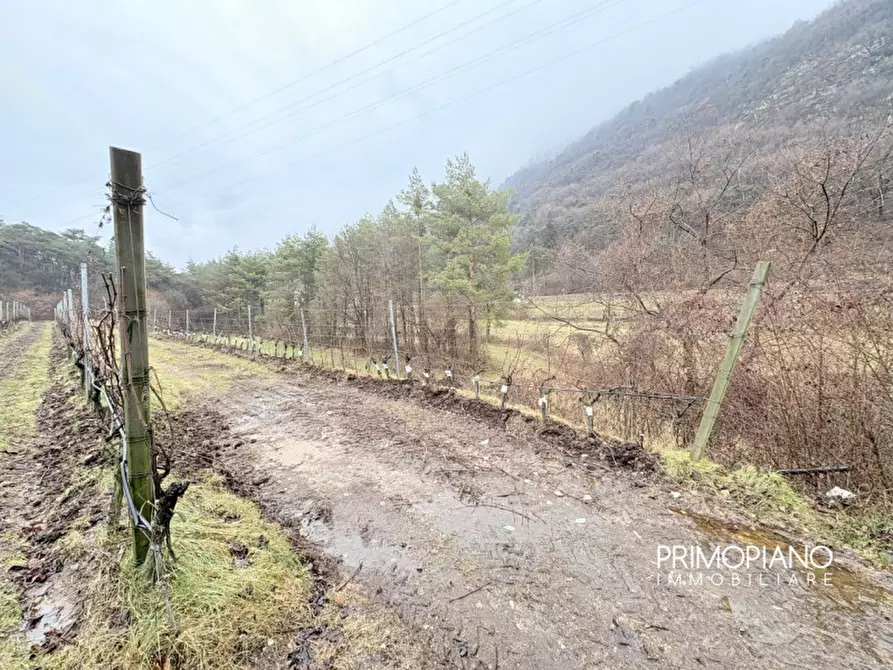 Immagine 10 di Terreno in vendita  in Strada Statale Gardesana Occidentale a Vallelaghi