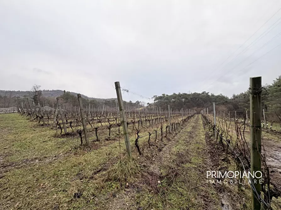 Immagine 11 di Terreno in vendita  in Strada Statale Gardesana Occidentale a Vallelaghi