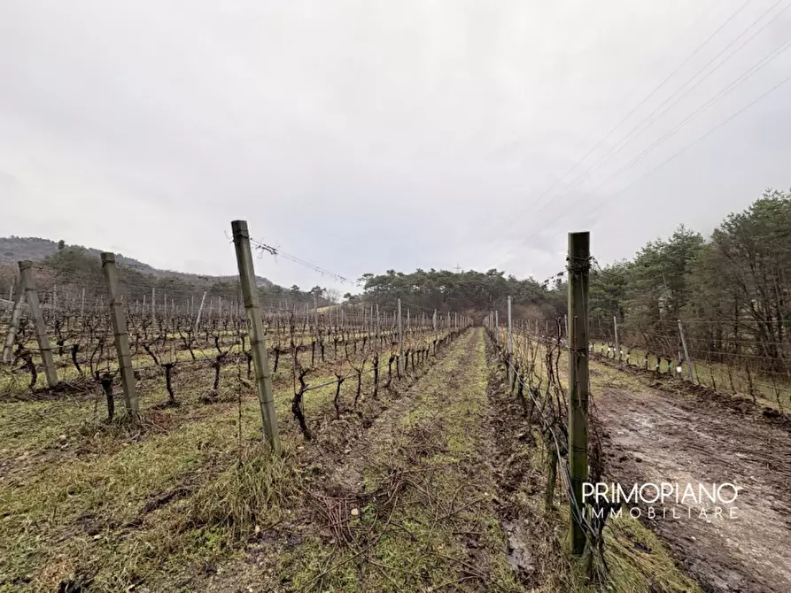 Immagine 12 di Terreno in vendita  in Strada Statale Gardesana Occidentale a Vallelaghi