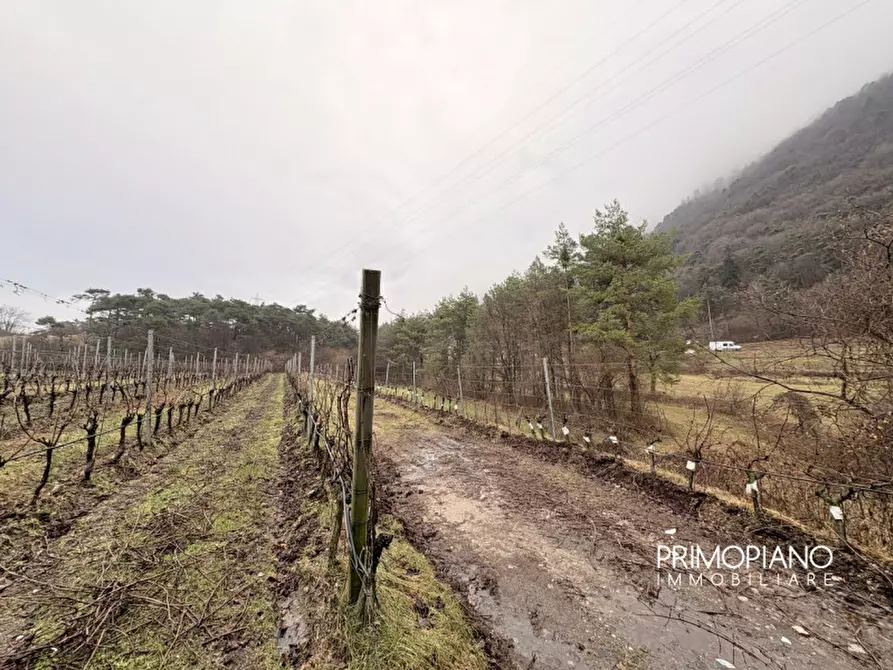Immagine 13 di Terreno in vendita  in Strada Statale Gardesana Occidentale a Vallelaghi