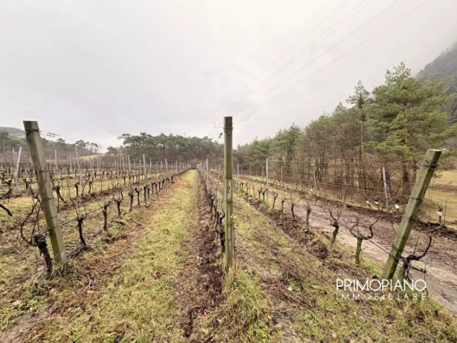 Immagine 14 di Terreno in vendita  in Strada Statale Gardesana Occidentale a Vallelaghi