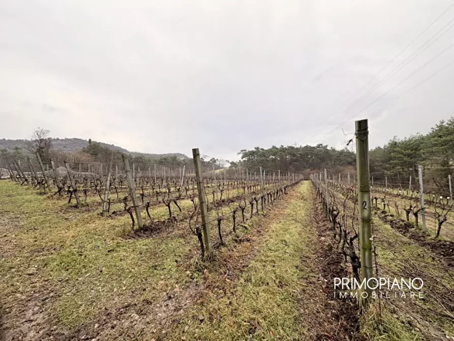 Immagine 15 di Terreno in vendita  in Strada Statale Gardesana Occidentale a Vallelaghi