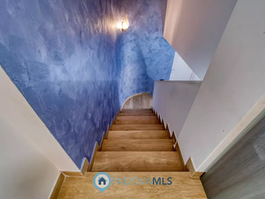 Immagine 12 di Villa in vendita  in via san gregorio barbarigo a Vigonza