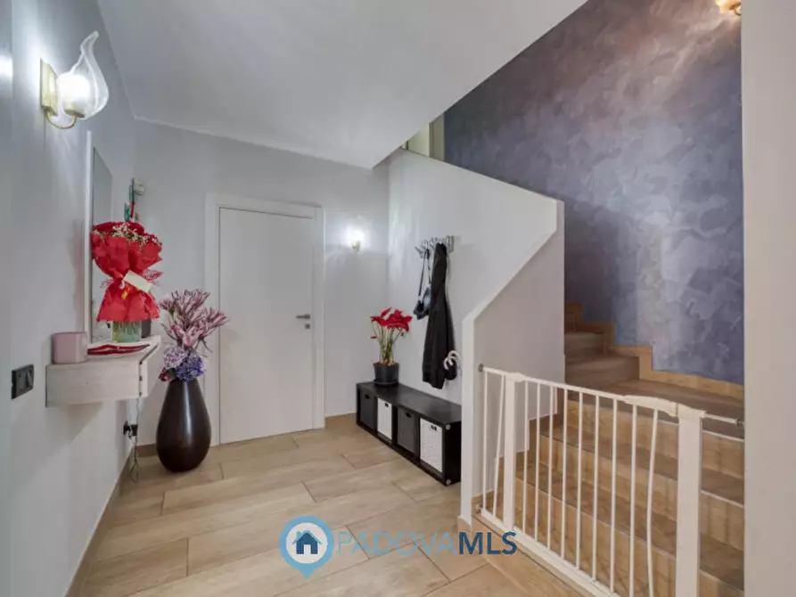 Immagine 21 di Villa in vendita  in via san gregorio barbarigo a Vigonza