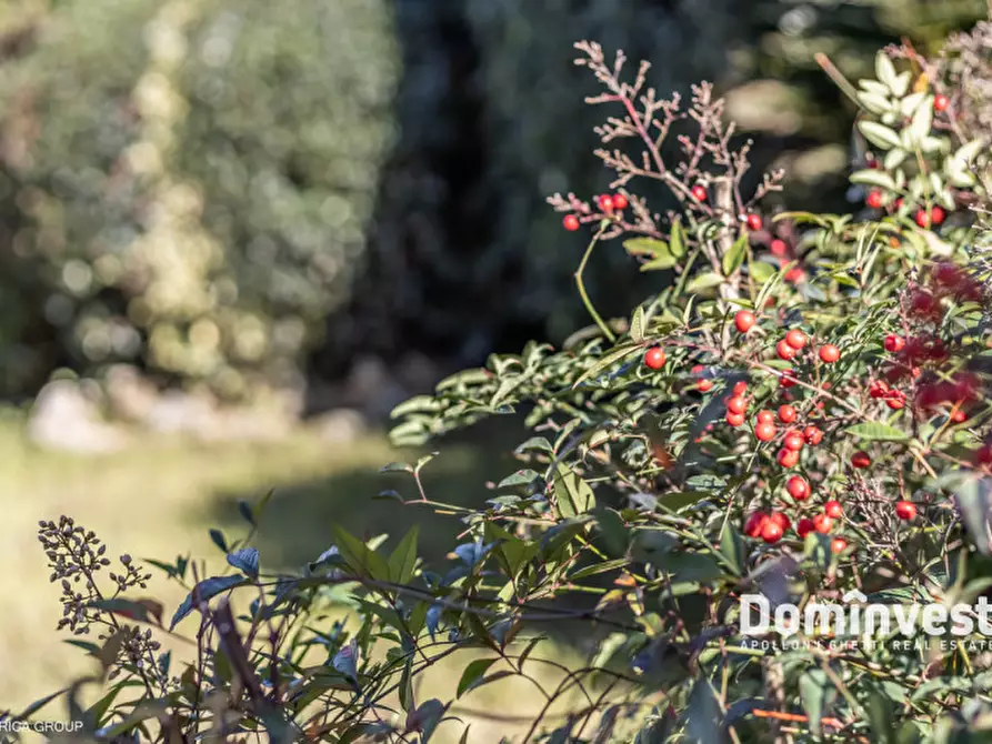 Immagine 64 di Villa in vendita  in Via Caio Acilio a Guidonia Montecelio