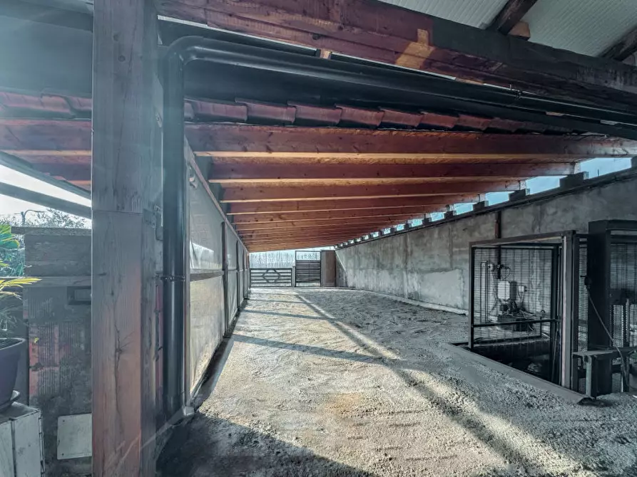 Immagine 11 di Casa indipendente in vendita  in via ciliegia 18 a Landiona