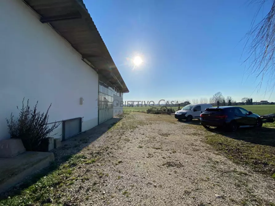 Immagine 35 di Casa indipendente in vendita  in Via Cà Molin a Bovolenta