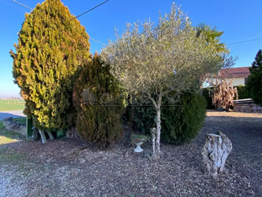 Immagine 41 di Casa indipendente in vendita  in Via Cà Molin a Bovolenta