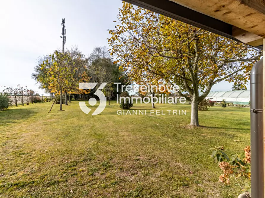 Immagine 9 di Casa indipendente in vendita  in Via Argine San Marco a San Donà Di Piave