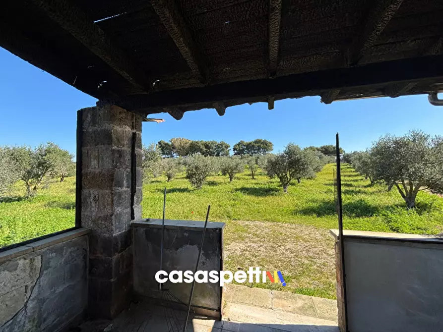 Immagine 9 di Casa indipendente in vendita  in Contrada Torre Inserraglio a Nardo'