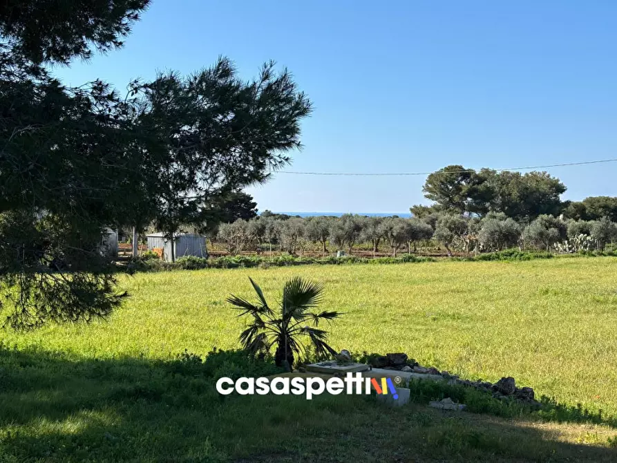 Immagine 10 di Casa indipendente in vendita  in Contrada Torre Inserraglio a Nardo'