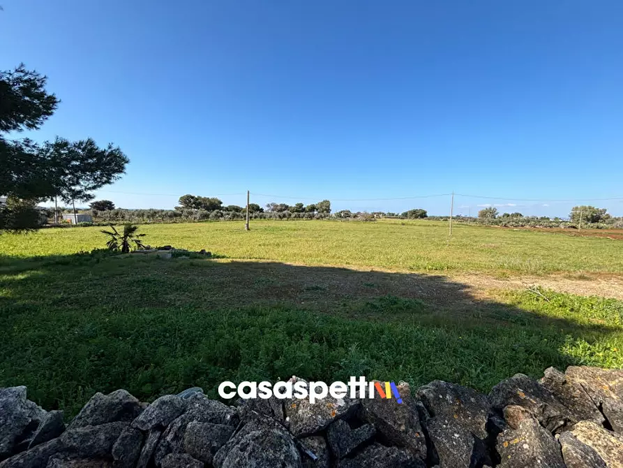 Immagine 11 di Casa indipendente in vendita  in Contrada Torre Inserraglio a Nardo'