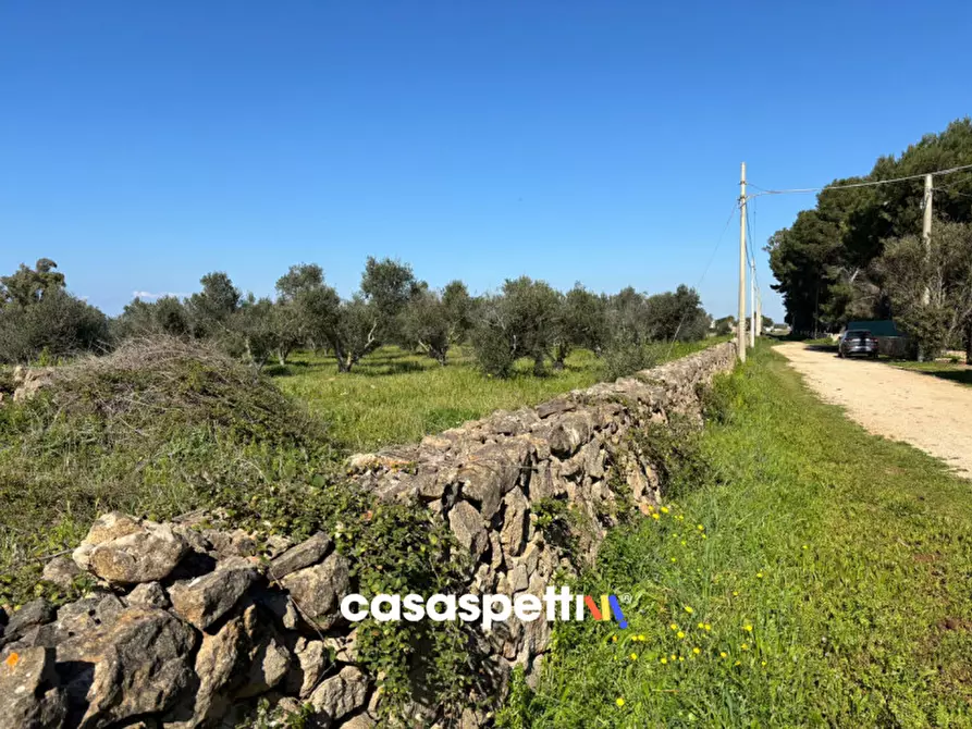 Immagine 13 di Casa indipendente in vendita  in Contrada Torre Inserraglio a Nardo'
