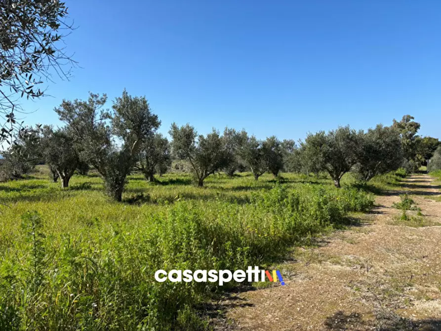 Immagine 14 di Casa indipendente in vendita  in Contrada Torre Inserraglio a Nardo'