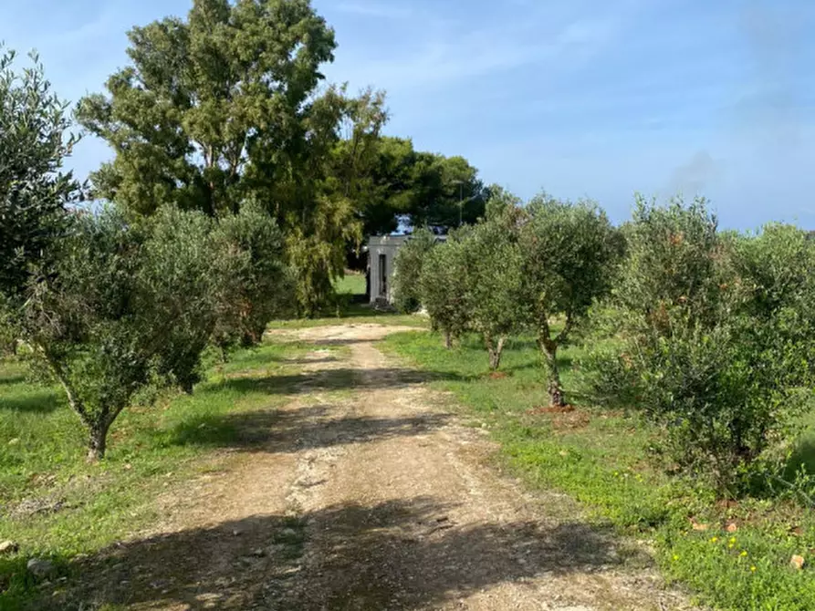 Immagine 18 di Casa indipendente in vendita  in Contrada Torre Inserraglio a Nardo'