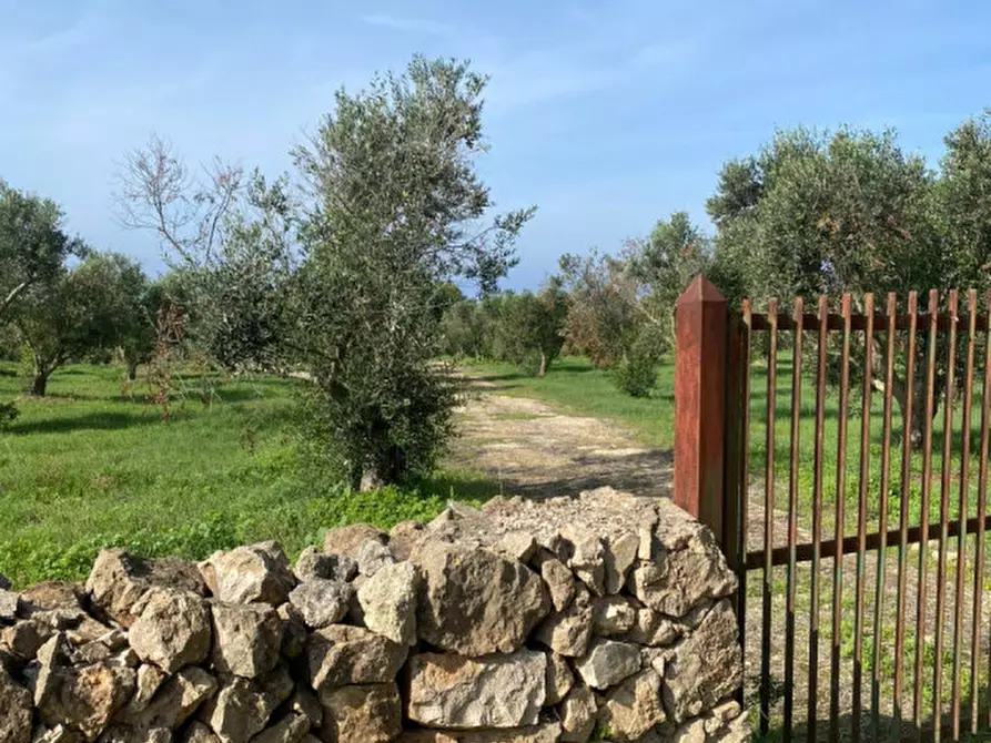 Immagine 19 di Casa indipendente in vendita  in Contrada Torre Inserraglio a Nardo'