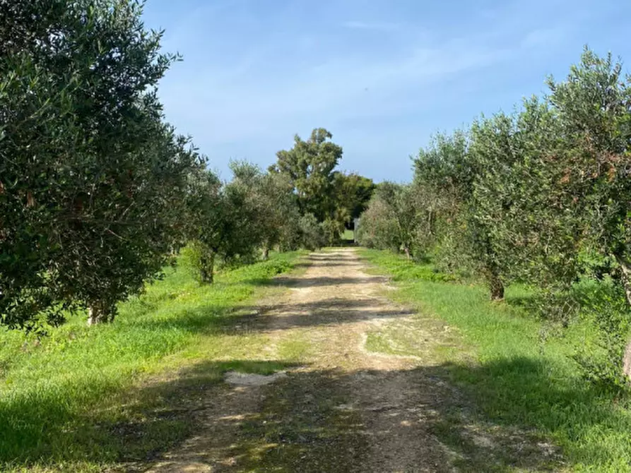 Immagine 20 di Casa indipendente in vendita  in Contrada Torre Inserraglio a Nardo'