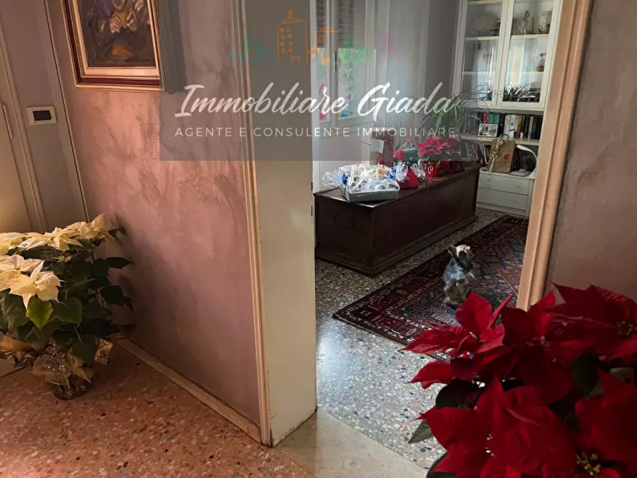 Immagine 6 di Casa indipendente in vendita  a Vittorio Veneto